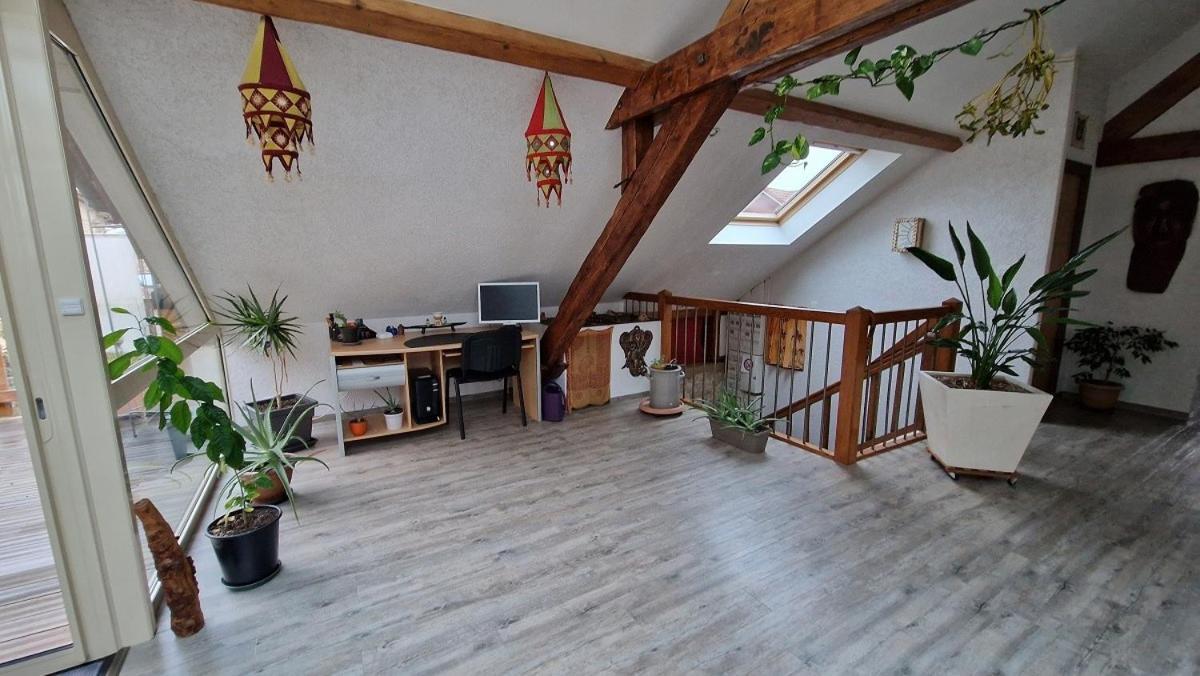 Bel Appartement 120 M² Tres Lumineux Avec Terrasse Morvillars Экстерьер фото